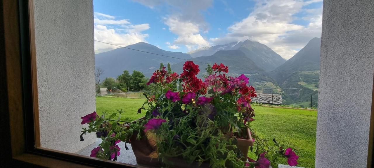 サン・ニコラ Lo Noyer Et Les Roses Bed & Breakfast エクステリア 写真